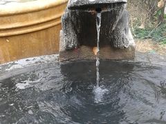 -仁爱团泊湖温泉中心