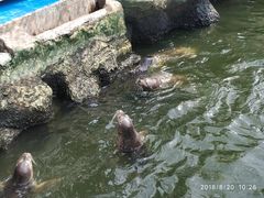 -华夏文旅海洋公园