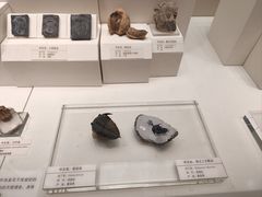 -天津自然博物馆