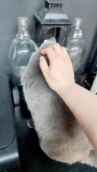 -飛凡TATTOO纹身•原创