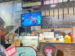 -了不起的考拉咖啡店(高新店)