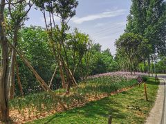 -仙海旅游度假区