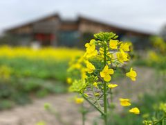 -驿舍·民國老营房院子私房菜(科学会堂店)