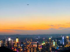 -大金鹰园