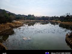 -桃花岛景观公园