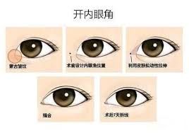-SKINIST丽铂医疗美容