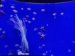 -沈阳海洋探索中心