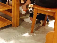 -牛炙烤肉(车公庙店)