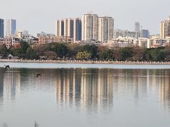 -海珠湖公园