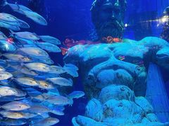 -正佳极地海洋世界