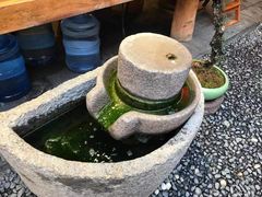 -有一锅·黑山羊腊排骨野生菌火锅(黑龙潭旗舰店)