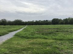 -汉长安城未央宫国家考古遗址公园