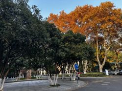 -南京医科大学友谊整形外科医院