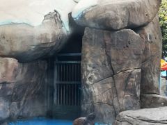 -海合安成都极地海洋公园