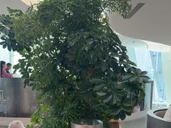 -枕水江南(铁西万象汇店)