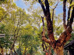 -颐和路民国时期公馆风貌区