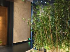 -新紫霞养生·影院足道·SPA(金山区店)