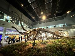 -自贡恐龙博物馆