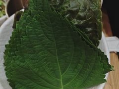 -青瓦餐厅·生鱼片·韩园烤肉(西塔店)