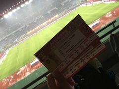 -南京奥林匹克体育中心-体育馆