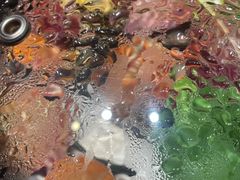 -苏大嘴蒸汽海鲜·海胆蒸饺(中山广场店)