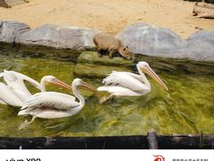 -沈阳森林动物园