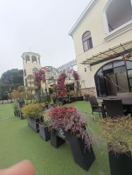 -伊莎贝拉婚礼庄园(顾村店)