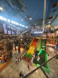 -卡通尼·Safari非洲探索乐园·生日会(金桥国际商业广场店)