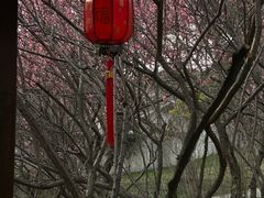 -无锡梅园公园