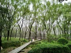 -昆山城市生态森林公园