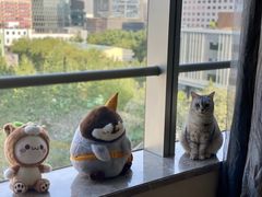 -FAELING PETS美天灵宠物(富力广场店)
