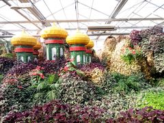 -兰陵国家农业公园