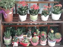 android_upload_pic-香港皇家太平洋酒店