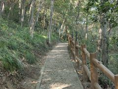 -上海佘山国家森林公园天马山园