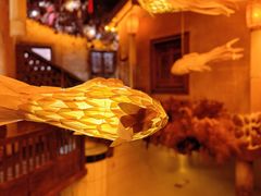 -叶叶菩提·晋福宫