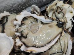 -海盗船. 龙虾烧烤. 酒馆
