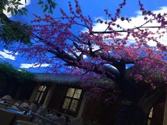 -景禧楼(景尚恐龙主题度假酒店)