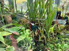 -国家植物园南园