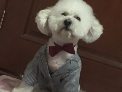 -多卡布奇宠物生活馆(上林世家店)