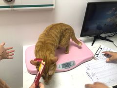 -福州肆爪动物医院
