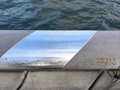 -星光大道
