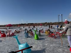 -长春市南湖公园