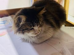 -一品格美术·中考高中成人美术培训