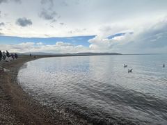 -青海湖国家重点风景名胜区