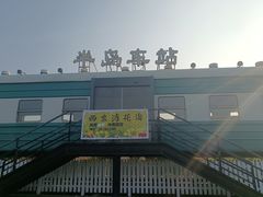 -西京湾花海
