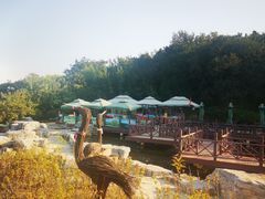 -北京西山国家森林公园