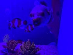 -海合安青岛极地海洋公园