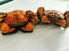 -丫丫蟹庄·苏式园林农家乐·阳澄湖大闸蟹(阳澄湖莲花岛店)