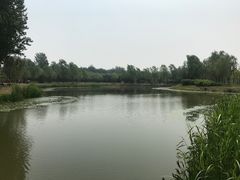 -东郊湿地公园