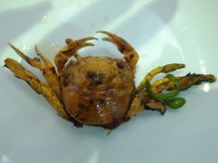 小螃蟹（可爱）-新享乐海鲜(翠华路店)